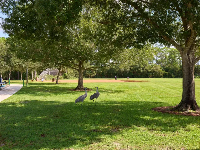 P1196174_HDR
