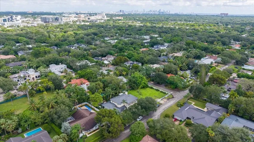 Aerial perspective featuring dense canopy coverage, established residential landscaping, and distant city skyline horizon
