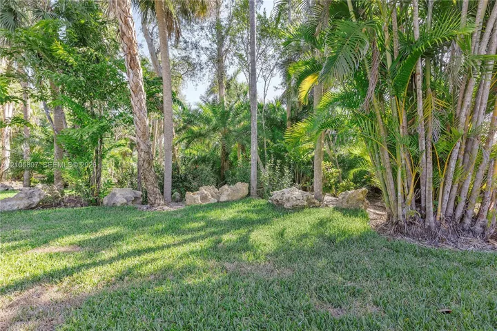 Expansive lawn area featuring mature palm trees, dense tropical vegetation, and natural stone accents