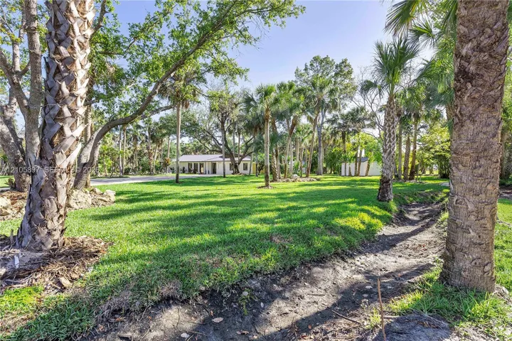 Expansive grounds featuring a manicured lawn, mature palm trees, native canopy trees, and natural drainage topography
