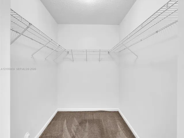 Walk-in closet featuring wall-to-wall carpeting and tiered white wire shelving