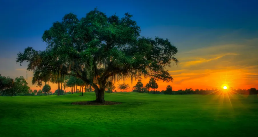 North Palm Beach Golf Course at Sunset (