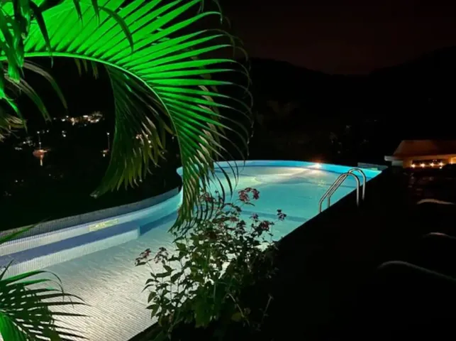 Tranquil evening pool setting framed by tropical foliage.