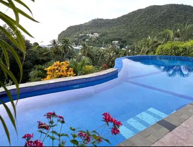 Serene pool area surrounded by vibrant tropical landscaping.