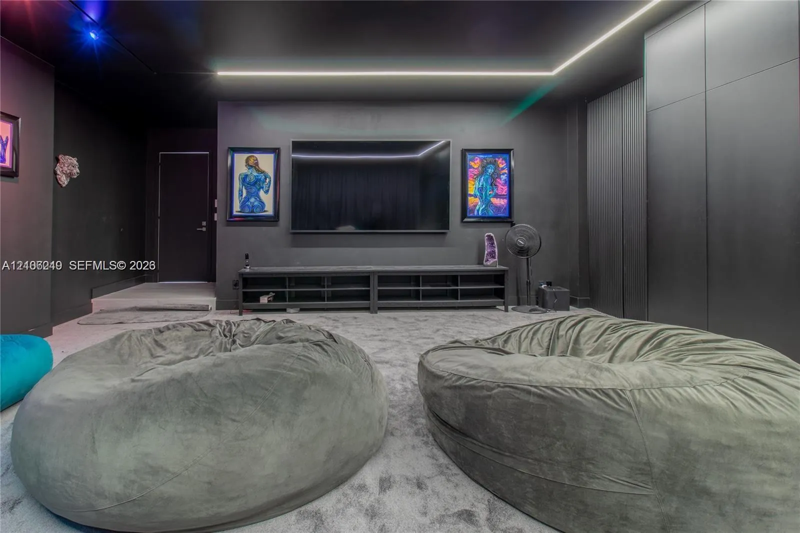 Property photo 46