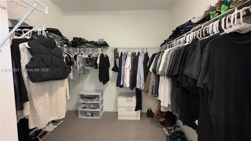 Walk-in storage space featuring wrap-around wire shelving and neutral carpeting