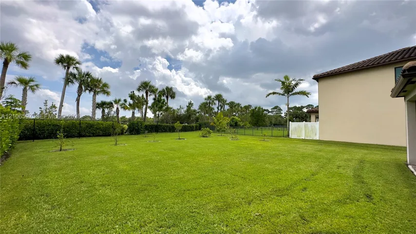 Expansive backyard featuring a manicured lawn, established palm trees, hedge landscaping, and perimeter fencing