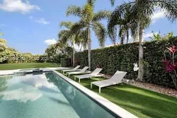 In-ground swimming pool with a light-toned interior, bordered by a synthetic turf lawn, tall privacy hedge, and mature palm trees
