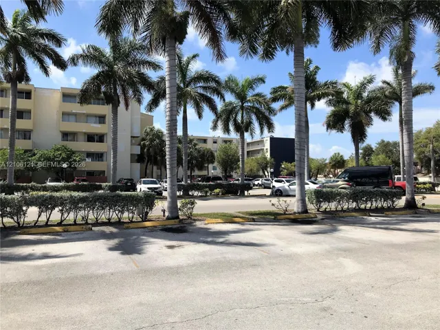 Exterior surface parking area lined with mature palm trees and manicured hedging