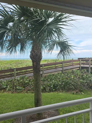 Back patio view