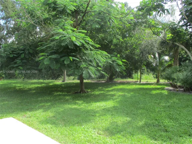 View off Lanai of Royal Poinciana tress, greenery & trees