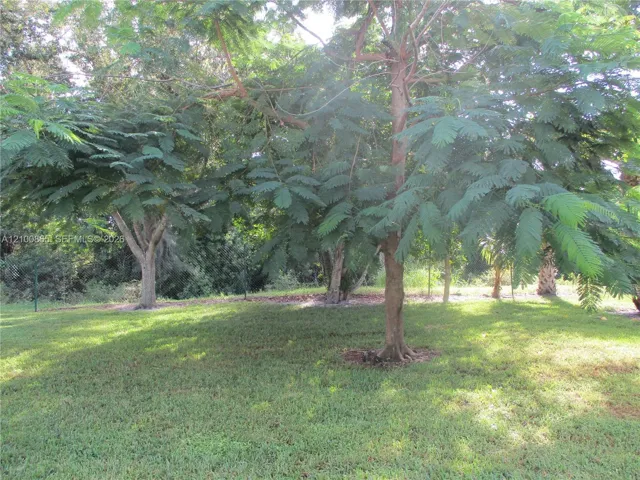 Expansive lot featuring mature trees and established landscaping