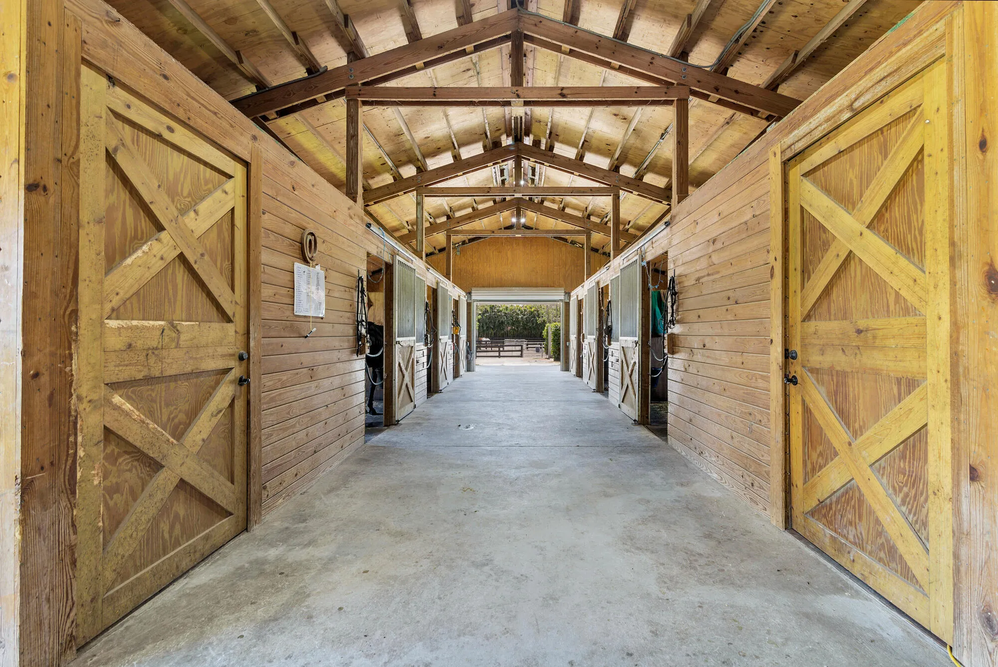 Property photo 44