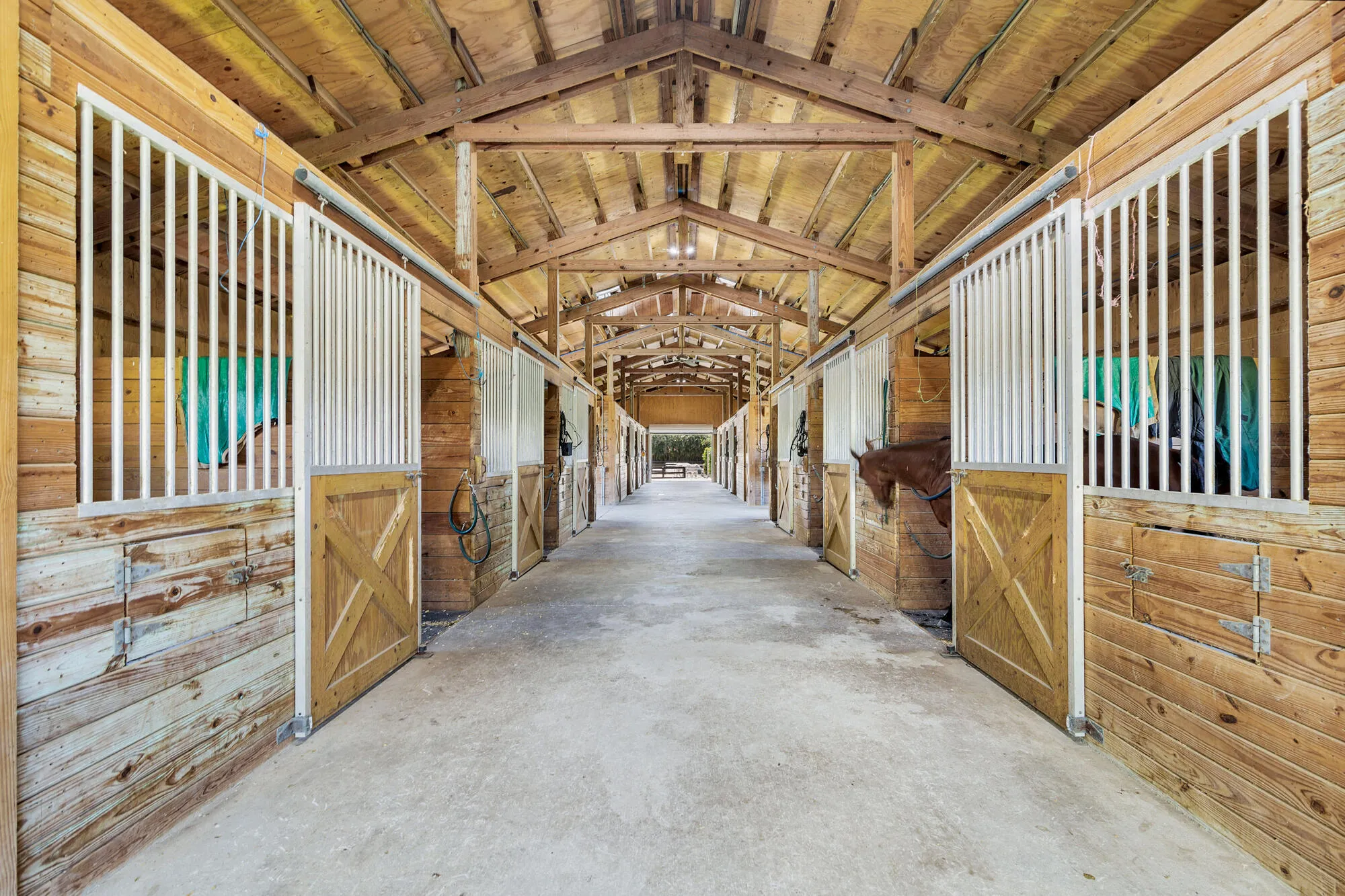 Property photo 43