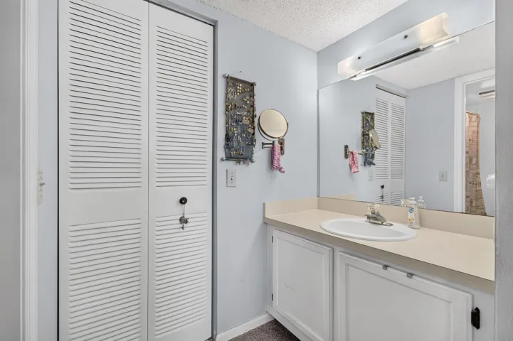 Primary Vanity