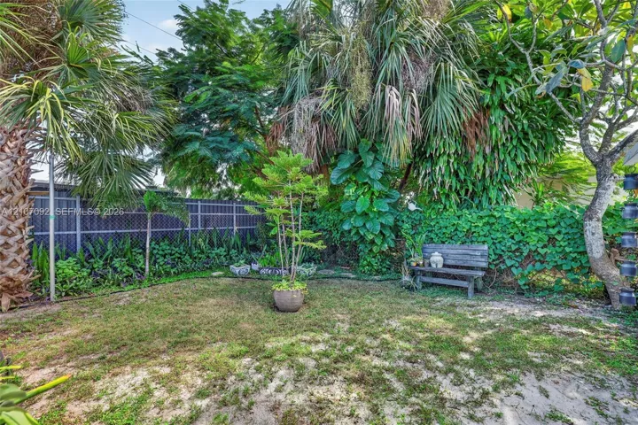 Backyard featuring mature palm trees, dense perimeter greenery, chain-link fencing, and established ground cover