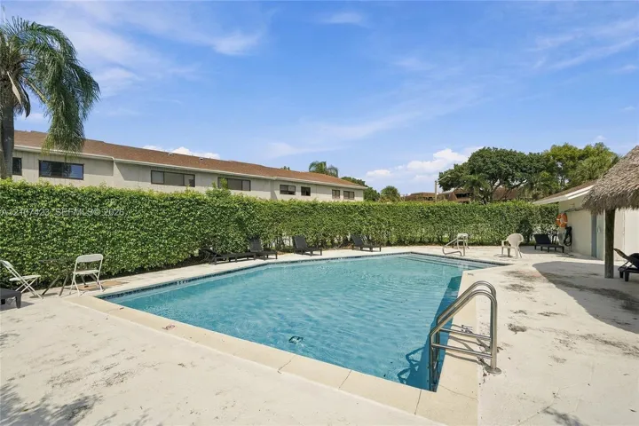 In-ground swimming pool featuring a metal ladder, concrete pool deck, and perimeter privacy hedges