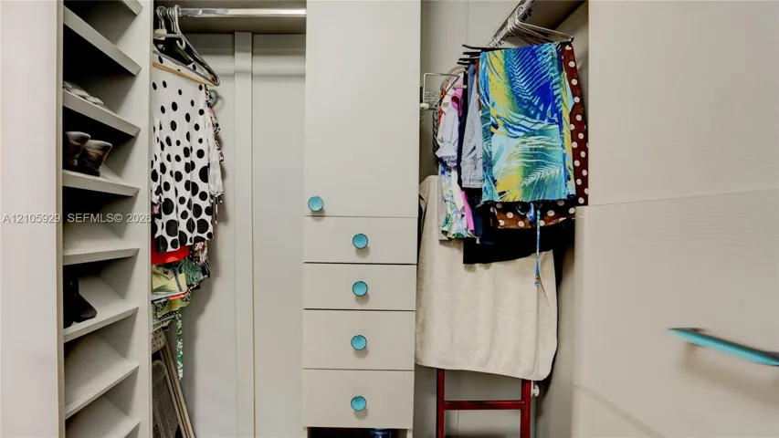 Walk-in closet featuring custom built-in cabinetry, floor-to-ceiling shelving, integrated drawer stack, and horizontal hanging rods