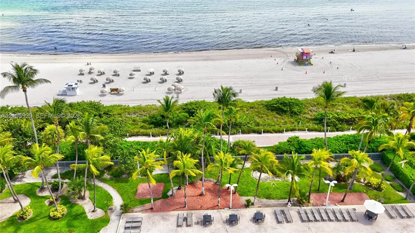 Direct beachfront access featuring landscaped grounds with mature palm trees, paved pedestrian paths, and a stone-surfaced terrace