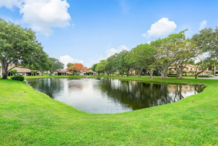 Lush Landscaping