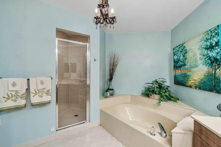 Separate Shower & Tub