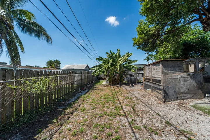 backyard