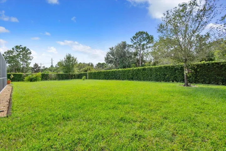Private Backyard