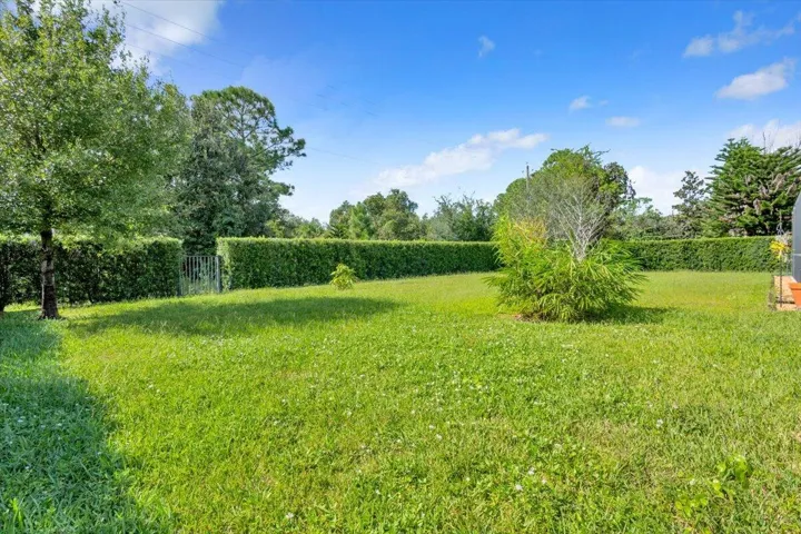 Private Backyard