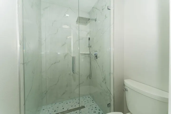 shower with frameless glass