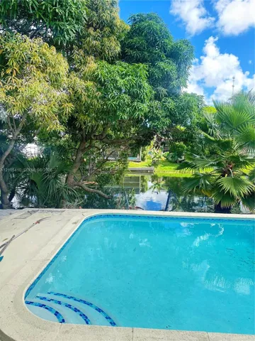 Inground swimming pool with tiled entry steps, concrete pool deck, and canal-front location featuring mature trees and palm foliage