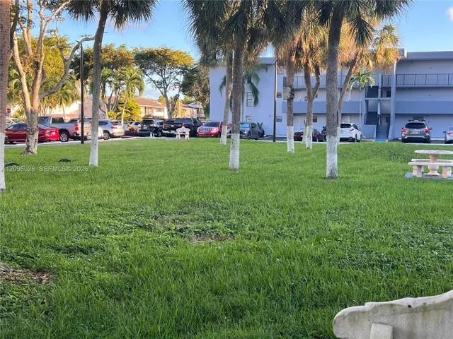 Expansive green space featuring mature palm trees and stone-cast seating areas