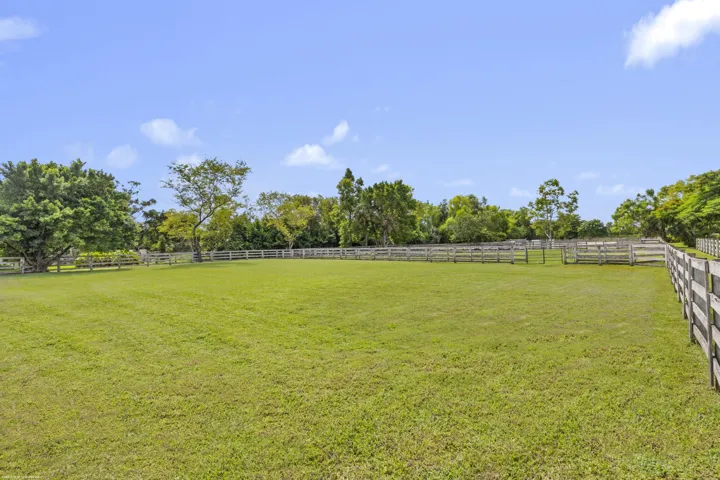 Grass Field