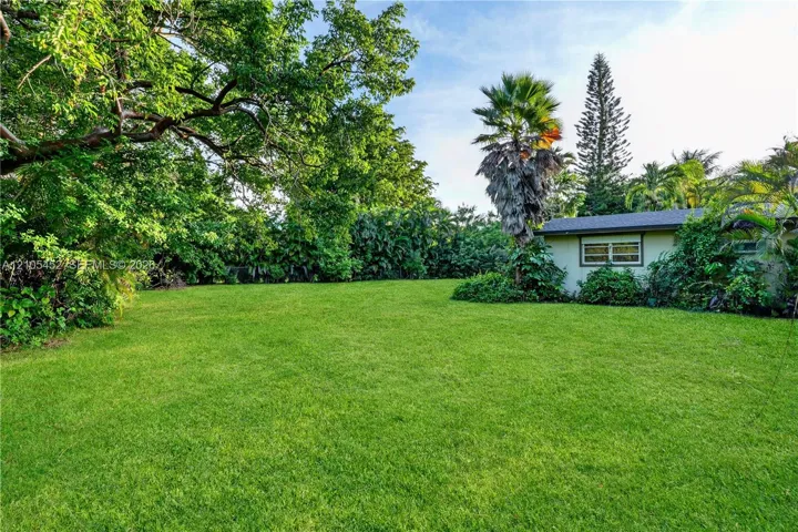 Expansive backyard featuring a manicured lawn, perimeter hedge, mature shade trees, and various palm species