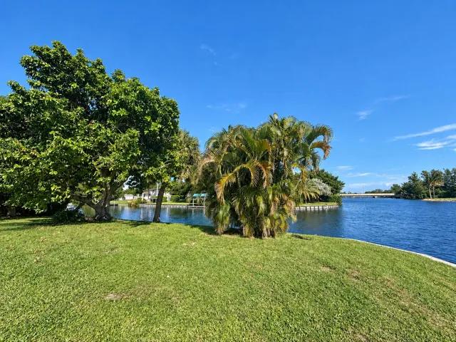 Natural Waterfront Yard with Palms