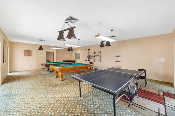 Ping Pong Table