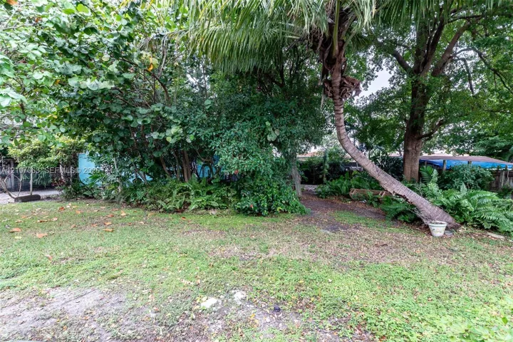 Expansive lot featuring mature tropical trees, established foliage, and shaded grass areas