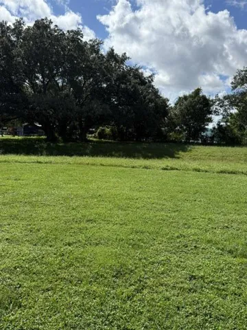 back yard