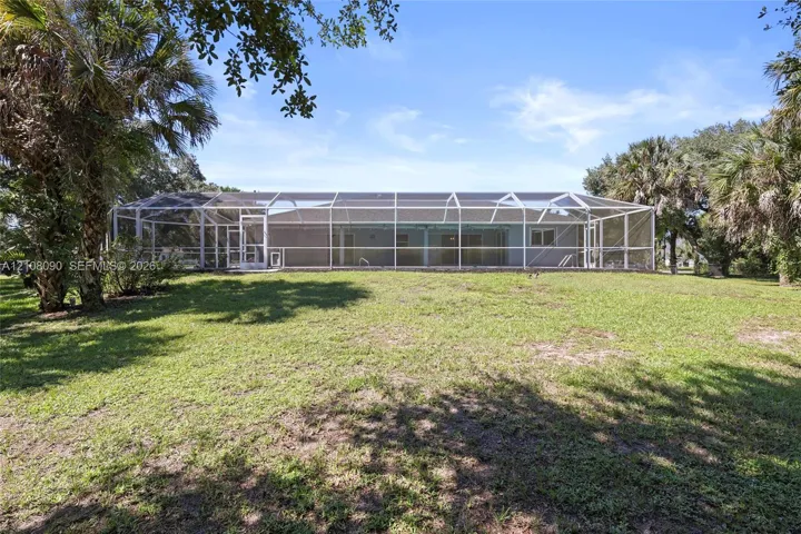 Backyard featuring a sprawling lawn, mature palm trees, and an expansive screened-in enclosure