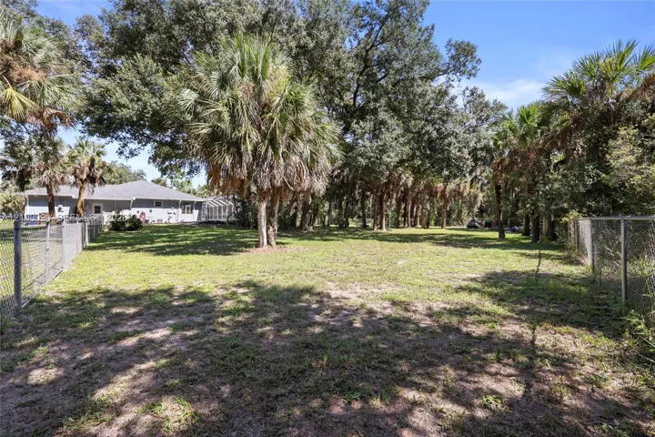 Expansive backyard featuring mature oak trees, established palms, chain-link fencing, and a dwelling with a screen-enclosed porch
