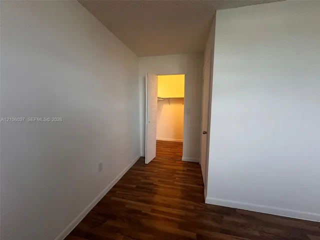 Wood-finish flooring, neutral walls, and a walk-in closet with built-in shelving