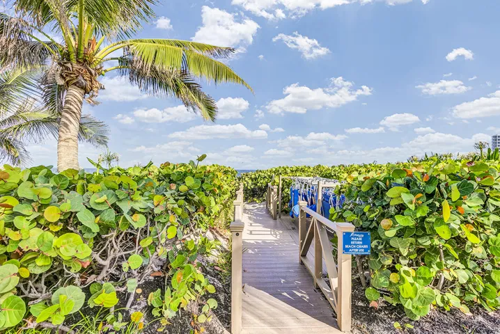 Beach Entrance