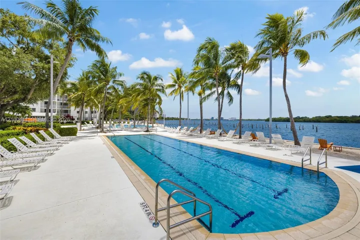 Rectangular lap pool featuring a stone-paver surround, metal entry ladders, and direct waterfront placement, accented by mature palm trees