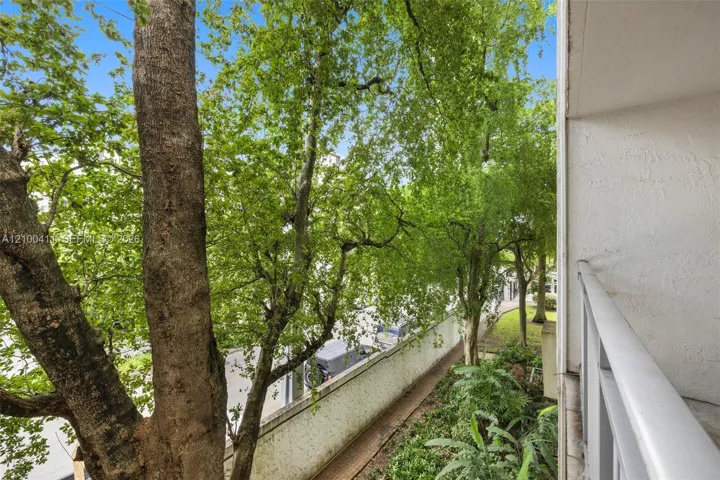 Serene tree-lined outdoor space featuring mature canopy trees, concrete retaining wall, and lush green landscaping visible from the interior window frame