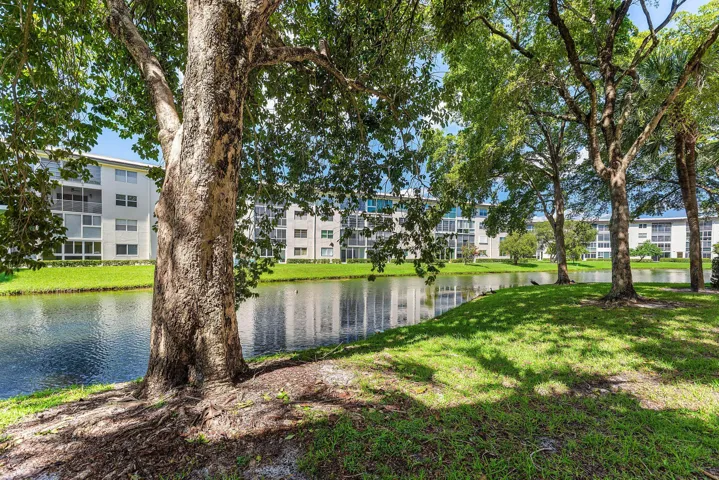 029-1702AndrosIsle-C4-CoconutCreek-FL-33
