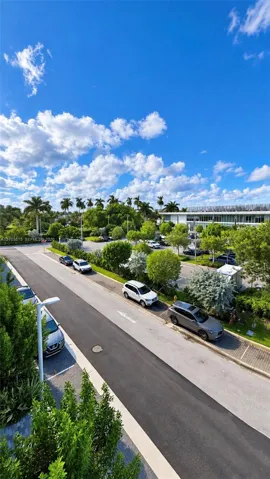Asphalt paved thoroughfare featuring mature palm trees, curated landscaping, and designated curbside parking