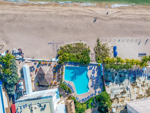 Direct beachfront location, expansive swimming pool, thatched-roof cabana, and mature palm landscaping