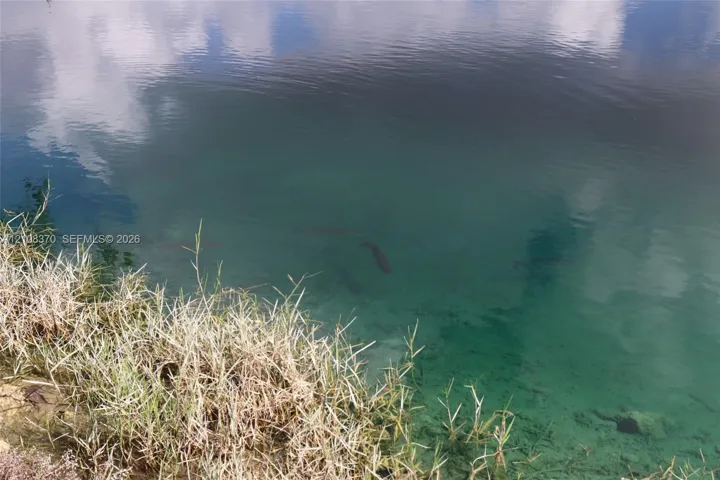 Waterfront property featuring a clear natural pond with aquatic life and native grasses along the shoreline