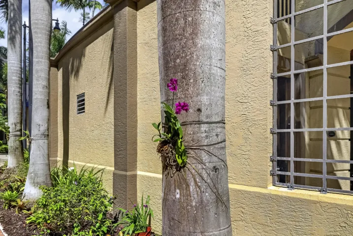 Tropical landscaping throughout the Village lane