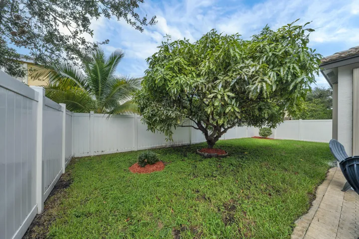 10 Backyard (2)