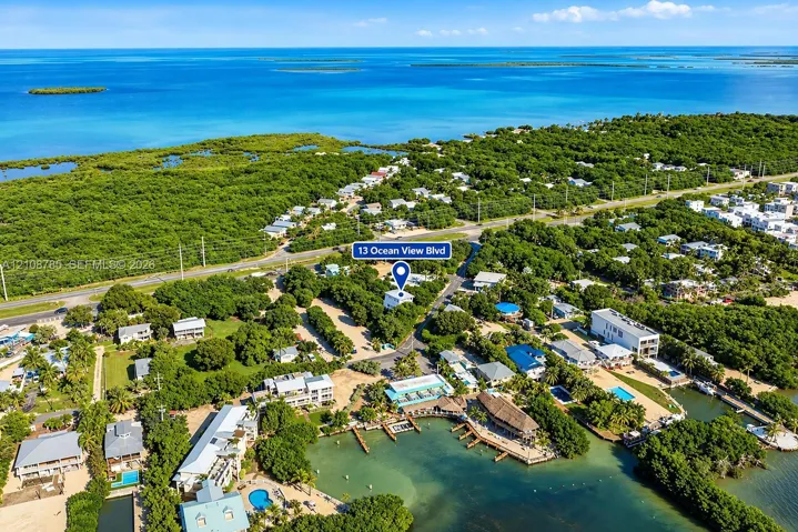 Aerial perspective featuring coastal surroundings, direct water frontage, private boat docks, and proximity to expansive tropical vegetation